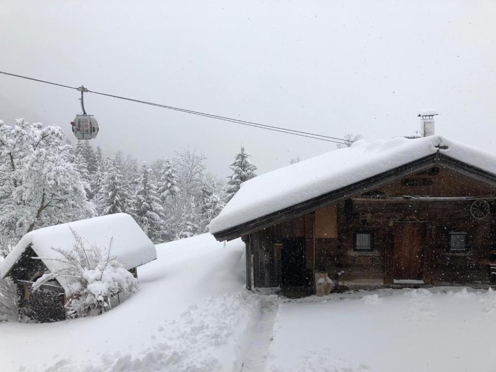 Woelzenberg Alm Lägenhet Reith im Alpbachtal Exteriör bild