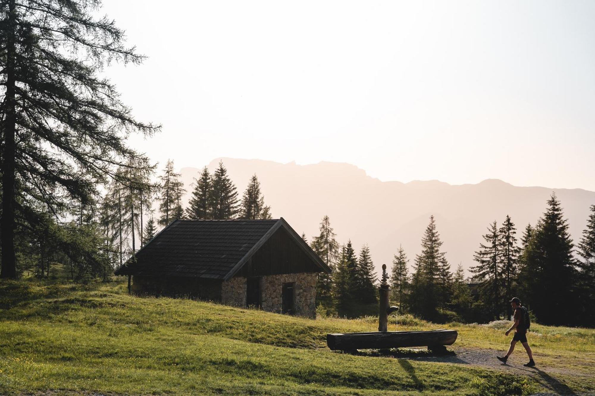 Woelzenberg Alm Lägenhet Reith im Alpbachtal Exteriör bild
